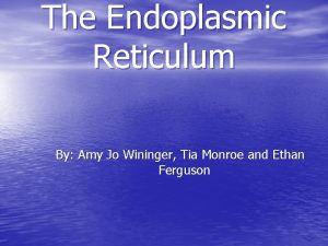 Endoplasmic reticulum