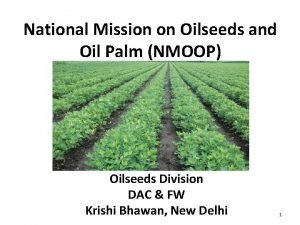 National Mission on Oilseeds and Oil Palm NMOOP