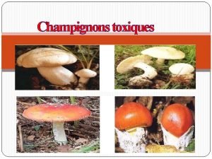 Champignons toxiques Gnralits Dfinition Champignon cryptogames pousse toujours