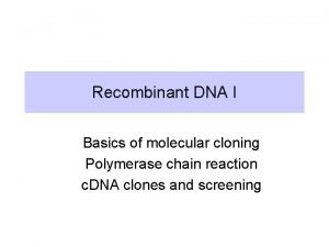 Recombinant DNA I Basics of molecular cloning Polymerase