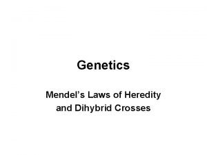 Genetics Mendels Laws of Heredity and Dihybrid Crosses