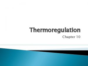 Thermoregulation Chapter 10 Mechanisms of Body Temperature Regulation