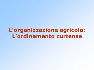 Lorganizzazione agricola Lordinamento curtense La curtis Nellalto medioevo