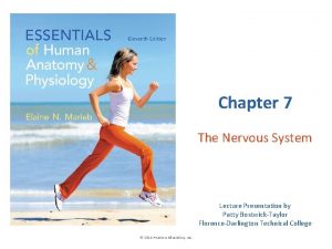 Chapter 7 the nervous system figure 7-2