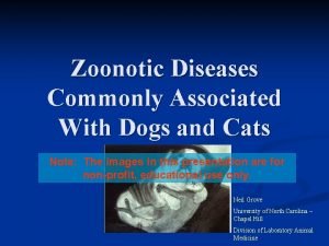 Zoonotic Diseases Commonly Associated With Dogs and Cats