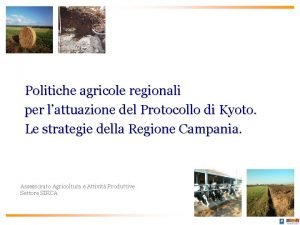 Politiche agricole regionali per lattuazione del Protocollo di