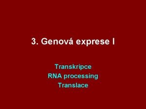 3 Genov exprese I Transkripce RNA processing Translace