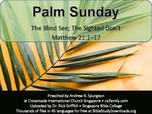 Palm Sunday The Blind See The Sighted Dont