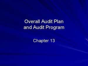 Overall audit plan