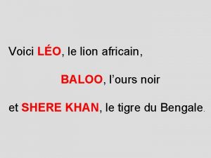 Voici LO le lion africain BALOO lours noir