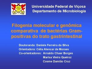Universidade Federal de Viosa Departamento de Microbiologia Filogenia