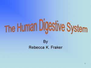 By Rebecca K Fraker 1 The Digestive System