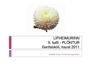 LFHEIMURINN 5 kafli PLNTUR Garaskli haust 2011 Margrt