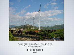 Energia e sustentabilidade Carlos Pimenta breves notas 2010