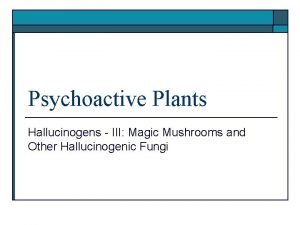 Psychoactive Plants Hallucinogens III Magic Mushrooms and Other
