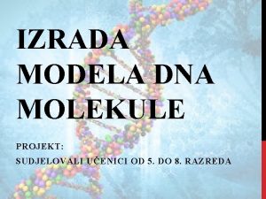 Model dna molekule
