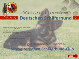 Wie gut kennen Sie unseren Deutschen Schferhund Dieses