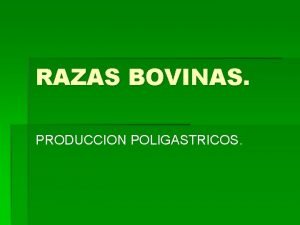 RAZAS BOVINAS PRODUCCION POLIGASTRICOS RAZAS BOVINAS GENERO Bos