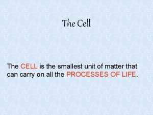 A cell is the smallest unit of