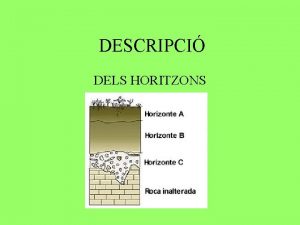 DESCRIPCI DELS HORITZONS CARACTERSTIQUES DESCRIPTIVES COLOR TEXTURA ELEMENTS