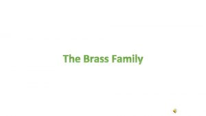 The Brass Family Positive Examples Trumpet Negative Examples