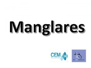 Manglares