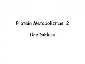 Protein Metabolizmas 2 re Siklusu Proteinlerin Ykm Vcuttaki