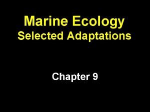 Marine Ecology Selected Adaptations Chapter 9 Basic Ecology