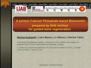 A porous Calcium Phosphate based Bioceramic prepared by