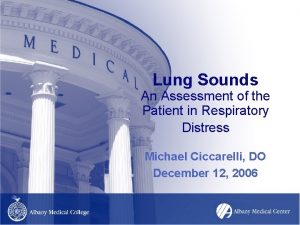 Lung sound assessment