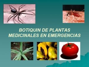 BOTIQUIN DE PLANTAS MEDICINALES EN EMERGENCIAS AUTORA Q