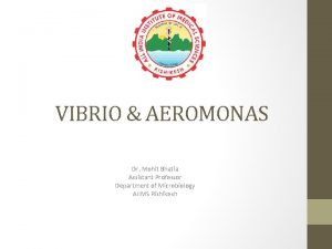 VIBRIO AEROMONAS Dr Mohit Bhatia Assistant Professor Department