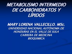 Elongacion sintesis de proteinas Elongacion sintesis de proteinas