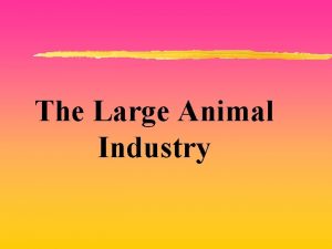 The Large Animal Industry The Meat Industry z