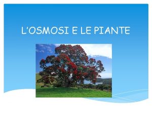 Osmosi nelle piante Osmosi nelle piante