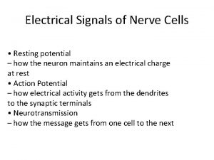 Electrical Signals of Nerve Cells Resting potential how
