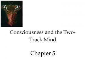 The idea of a two track mind is central to