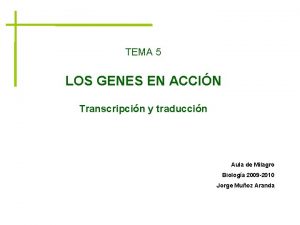 TEMA 5 LOS GENES EN ACCIN Transcripcin y