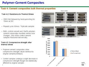 PolymerCement Composites Task 4 Cement composites bulk thermal