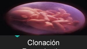 Clonacin