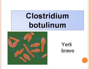 Clostridium botulinum Yerli bravo Clostridium botulinum Bacilo gran