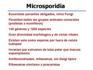 Microsporidia Eucariotas parasitos obligados reino Fungi Parasitan todos