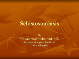 Schistosomiasis By Mohammed Mahmoud MD Lecturer of tropical