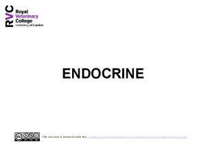 ENDOCRINE This resource is licensed under the Creative