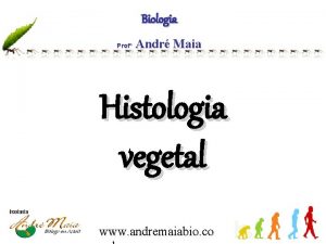 Biologia Prof Andr Maia Histologia vegetal www andremaiabio