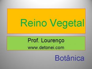 Reino Vegetal Prof Loureno www detonei com Botnica