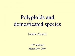 Polyploids and domesticated species Natalia Alvarez UW Madison