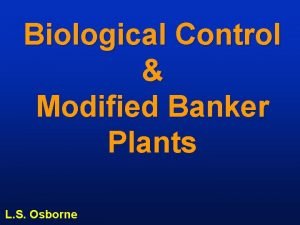 Biological Control Modified Banker Plants L S Osborne