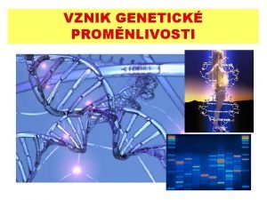 VZNIK GENETICK PROMNLIVOSTI Dsledek HW principu pi platnosti