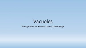 Where are vacuoles located
